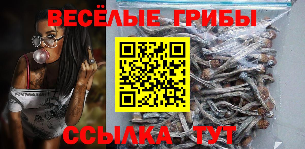 Апшеронск  Галлюциногенные грибы Psilocybine cubensis  Вход с VPN 