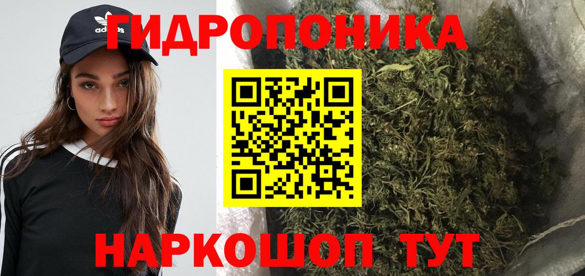 Каннабис THC 21%  Шишки марихуана планчик  Вход с VPN  Бошки марихуана Ganja  Бошки марихуана OG Kush  Апшеронск 